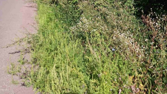 зображення_viber_2023-11-16_22-02-41-001